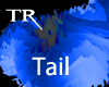 [TR] Tail LBlu/Blk *FCat
