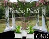 CMR Wedding Plants