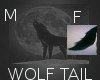 Grey Black Wolf Tail M F