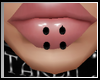 [J] Lip Studs Piercing