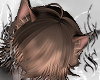 ♱ cat ears ♱