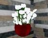 White Roses / Red Vase