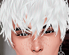 𝖍. Shoto Angels