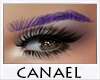 [CNL]Purple eyebrows V9