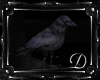 .:D:.Escape Crow
