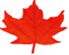 (BX)MapleLeafSticker