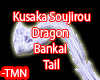 Kusaka Dragon Tail