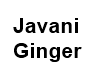 Javani - Ginger
