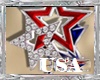 DC..4 TH JULY EARRINGS
