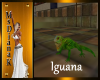 MsD Animated Iguana