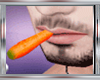 💋 CARROT IN MOUTH