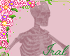𝓘 Pink Anim. Skeleton