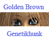 Golden Brown Female