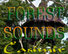~Cas~ Forest Sounds