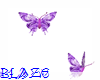 Purple Butterflies