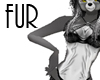 Silver Fox Fur [KIT] F