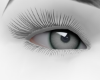 NPC - Gray eyes