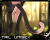 !F:Rory: Tail 3