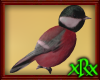 Red Bird