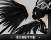 -LEXI- Sinette Wings