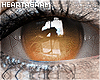 ][-][ Roma Eye ~Pumpkin