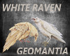 2 White Raven enchancer