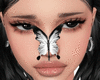 White Butterfly