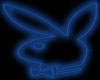 Dark Blue Playboy Bunny