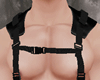TOP MUSCLE