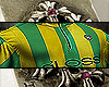 @G'LOSS @ECCO2K @BRAZIL