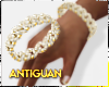 A Gold Cuban WC R