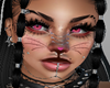 Sweet Cat Makeup
