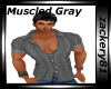Muscled Gray Shirt New
