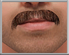 Moustache Brown V4