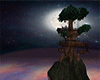 Moon Treehouse