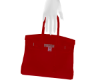 SC Red Birkin Handbag