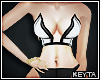 Preview bm