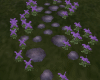 Path Stones & Flowers
