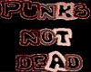 Punk Phrase