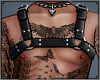 WeaPoNS HarNess