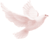 Dove In A Dove-Left