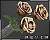 R║ Gold Roses Vase