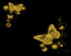 WNC - Golden Butterflies