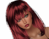 Abrena Red Ginger