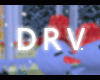 DRV 555