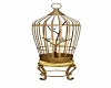 SS Bird cage