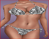 Sexy Silver Bikini