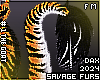 . Tygra | tail