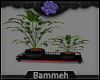 Dark Plant Set