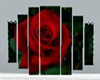 EQ~Red Rose